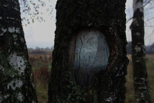 Картины на стволах деревьев