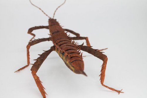 Бумажные скульптуры насекомых и не только