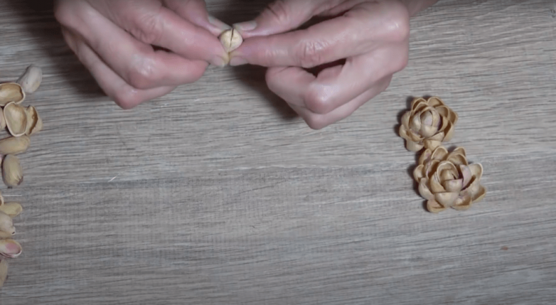 Что сделать из простой скорлупы от орехов