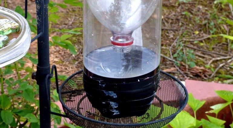 Ловушка для насекомых из старой пластиковой бутылки