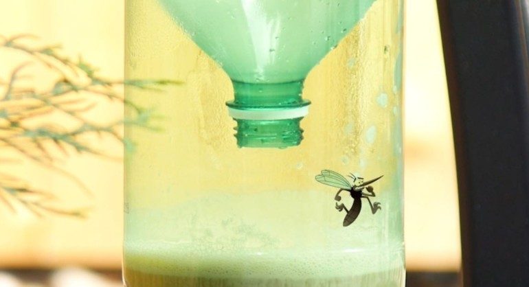 Ловушка для насекомых из старой пластиковой бутылки