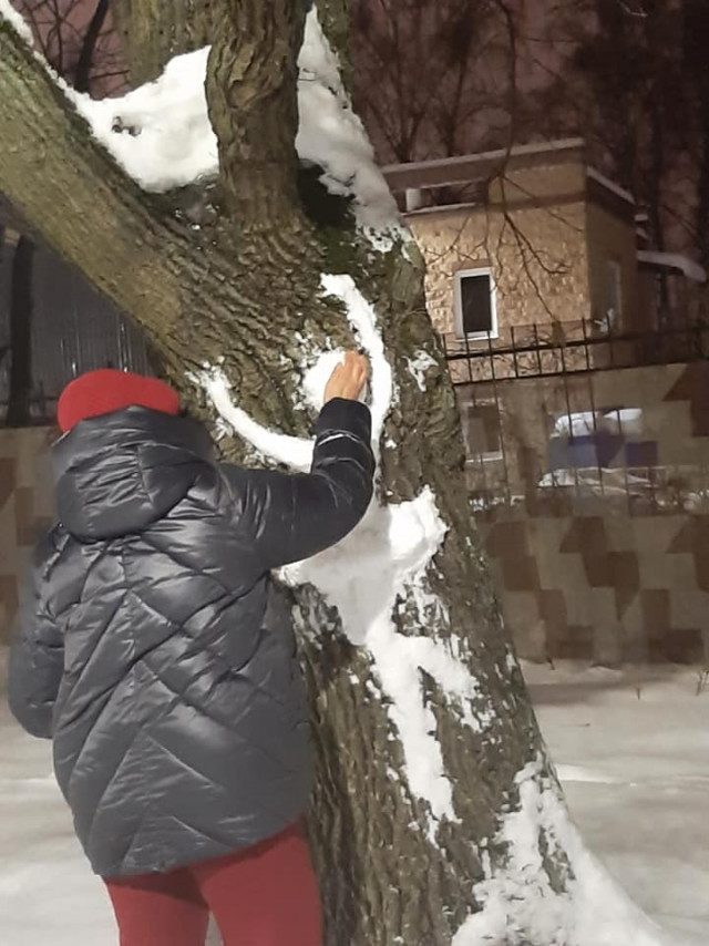 Удивительные снежные барельефы на стволах деревьев в Перовском парке