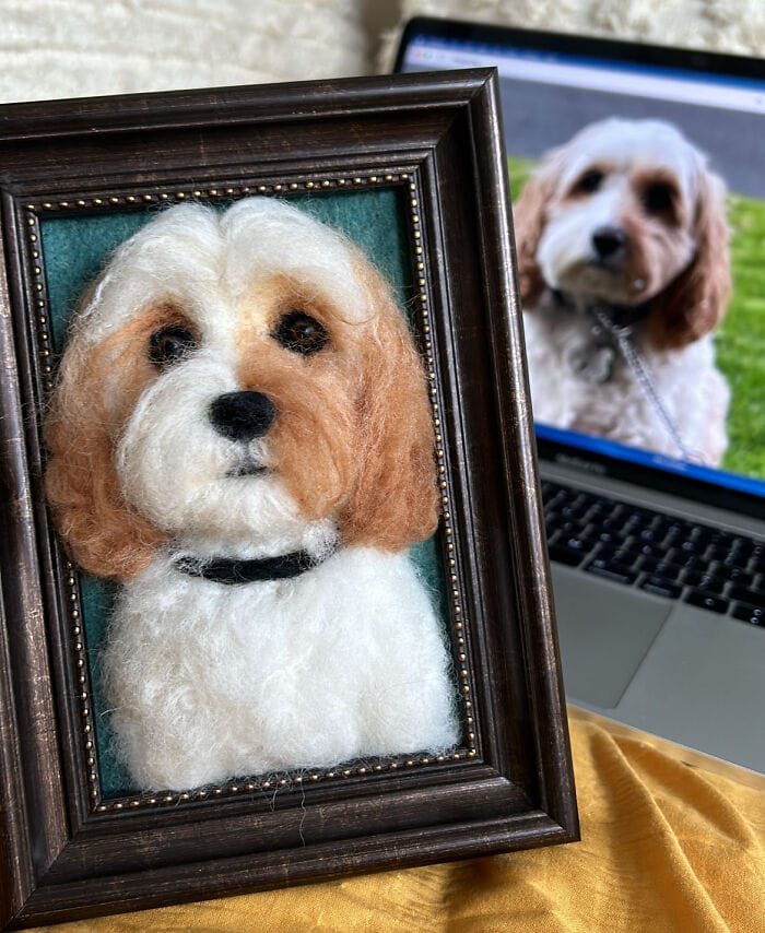 Трёхмерные портреты собак из шерсти