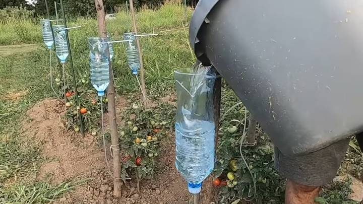 Система капельного полива из пластиковых бутылок