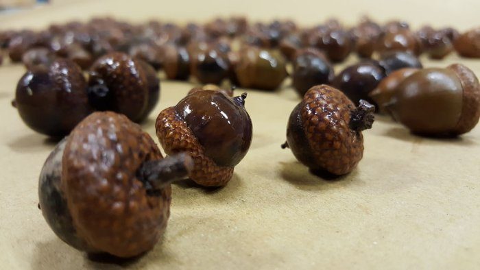 Интересная скамья из натурального дерева