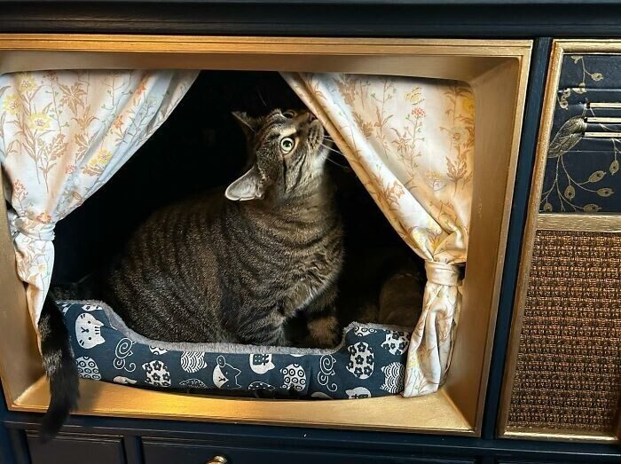 Лежанки для кошек из старой техники