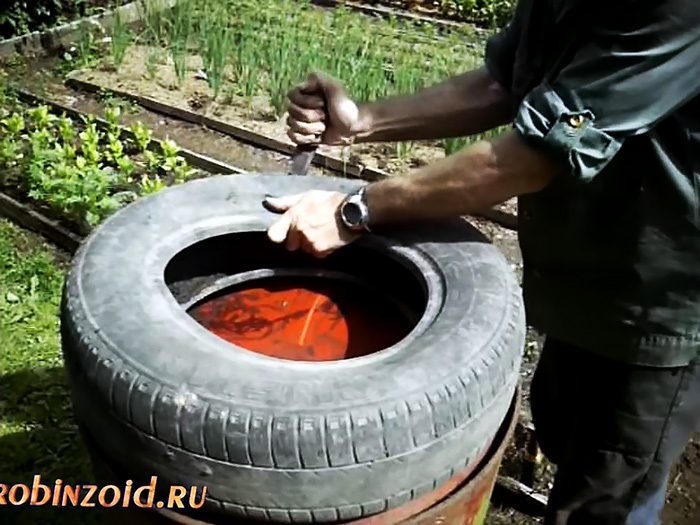 Применение автомобильных покрышек в огороде