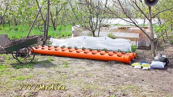 Мастерим грядку для клубники из ПВХ трубы