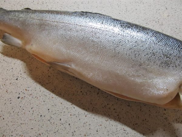 Гравлакс: слабосолёный лосось по-шведски