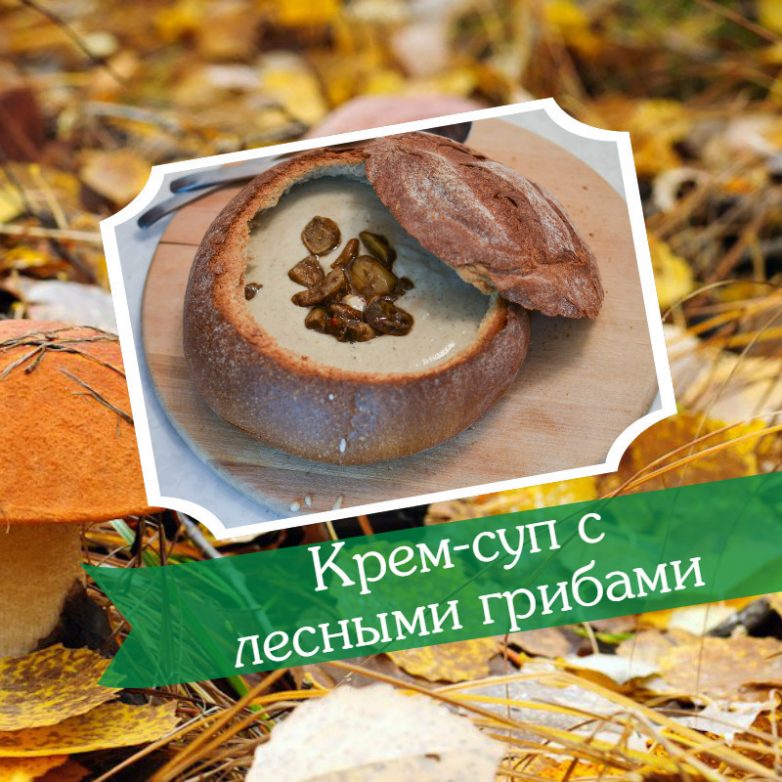 5 вкуснейших блюд из лесных грибов