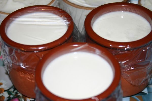 Готовим йогурт дома
