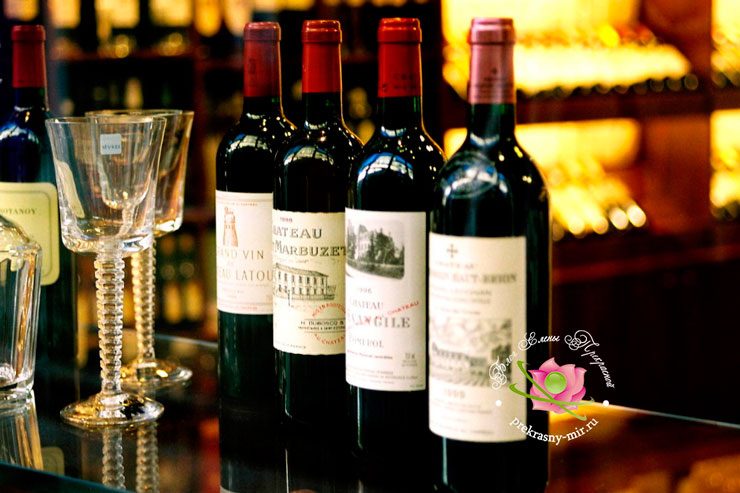 10 правил выбора хорошего вина в магазине