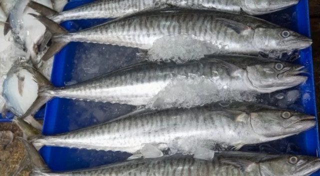 9 интересных фактов про морепродукты
