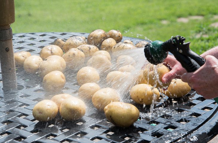 9 секретов идеального картофельного пюре