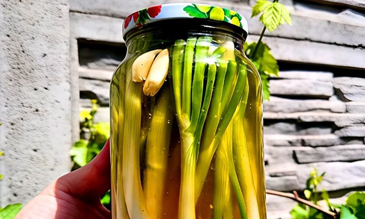 Вечером маринуем, а утром уже можно пробовать. Хрустящий зеленый лук в банках