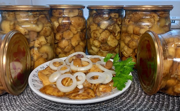Получаются более хрустящими. Маринованные грибы методом ферметнации