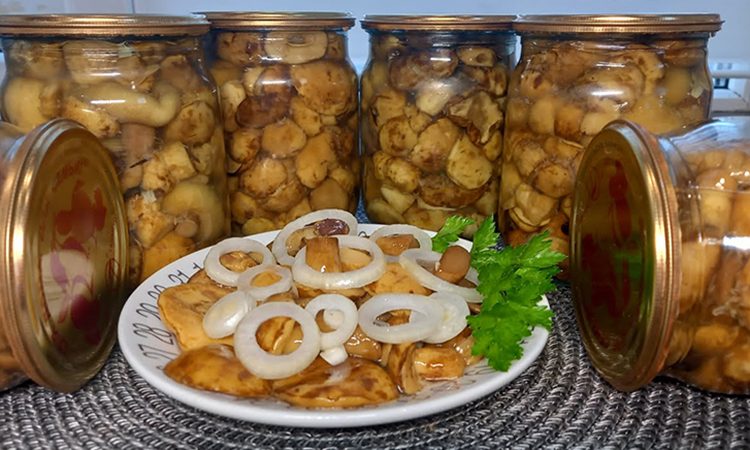 Получаются более хрустящими. Маринованные грибы методом ферметнации