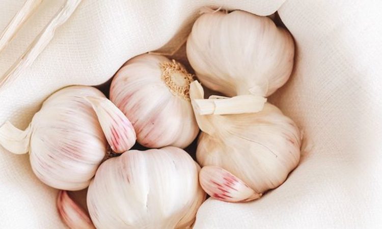Превращаем в пасту. Лучший способ сохранить чеснок без потери вкуса и свойств