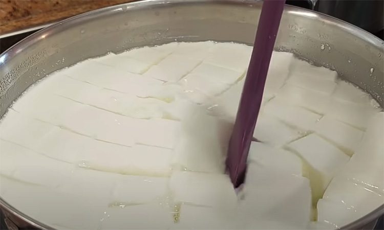 Почти 900 граммов творога из двух литров. Домашний творог из магазинного молока