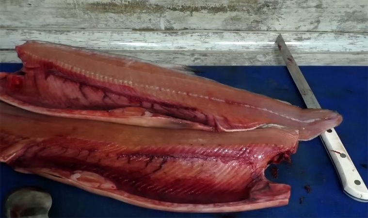 Всегда плотная, без пересола, лишней воды и соли. Засолка красной рыбы по шагам