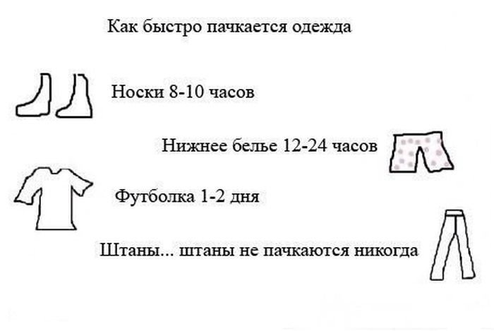 Приколы интернета