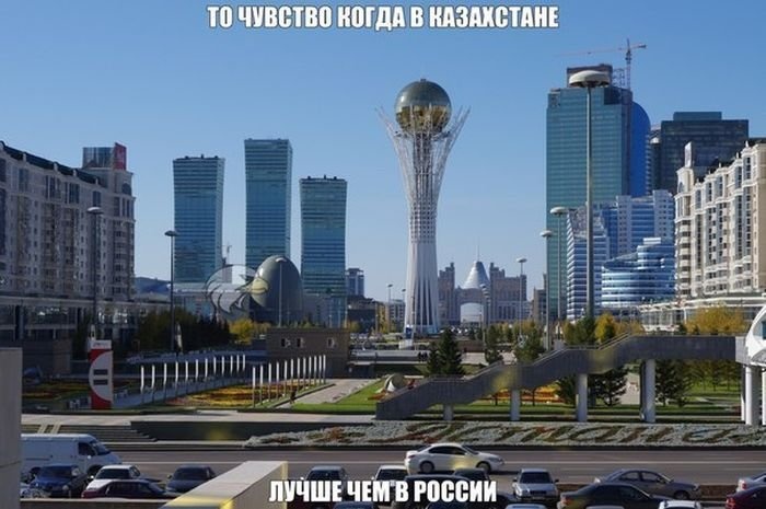 Приколы в картинках