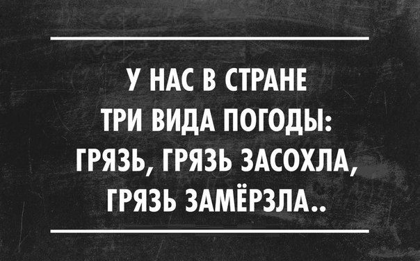 Актуальные цитаты