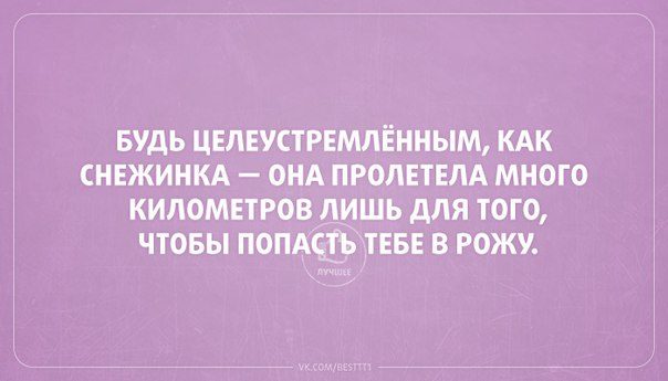 Актуальные цитаты интернета