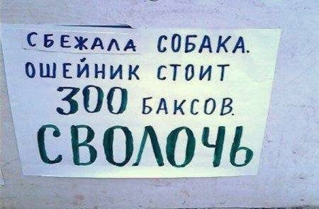 Народные перлы