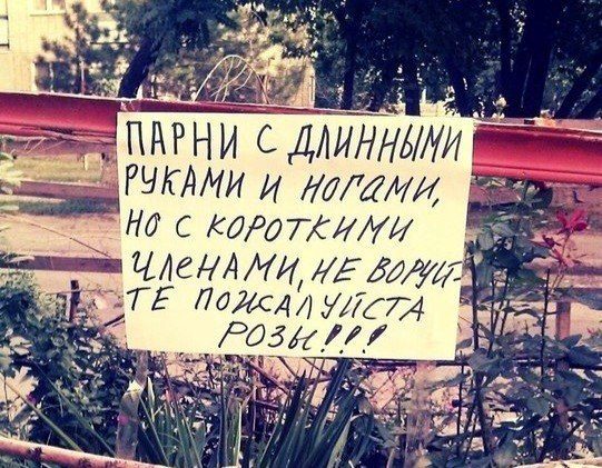 Народные перлы