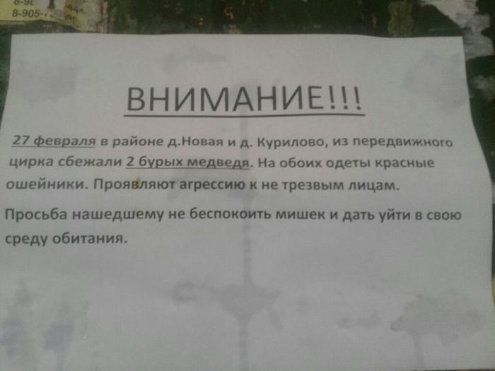 Народные надписи