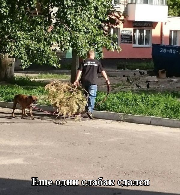 Приколюхи. Снова ржака!