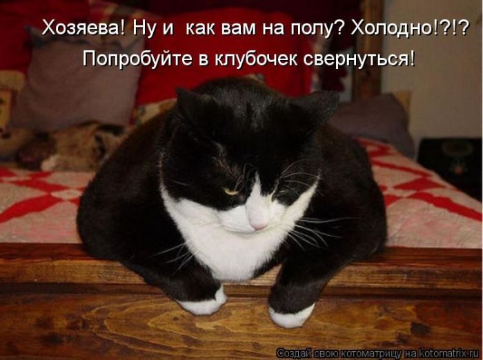 Весёлые Котоматрицы