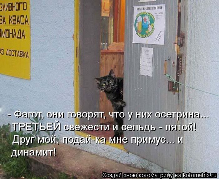 Прикольный сборник от Котоматрицы