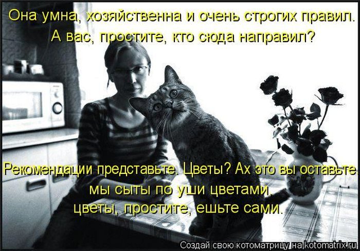 Котоматрицы