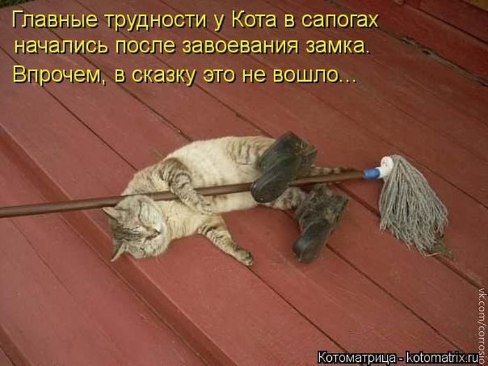 Лучшие Котоматрицы. Продолжение