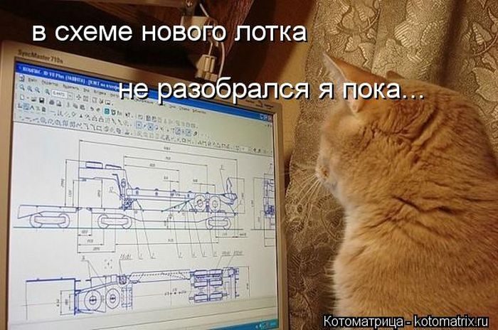 Любимая Котоматрица