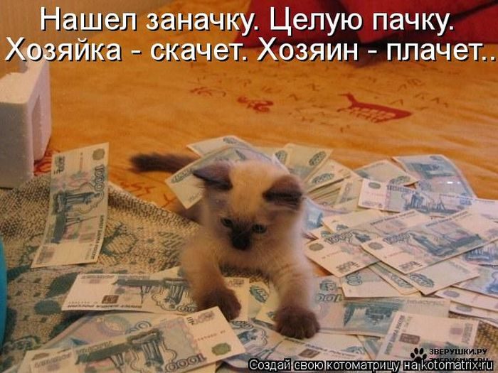 Замечательная Котоматрица