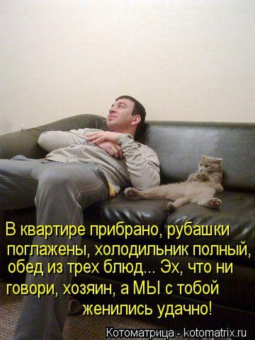 Смешные Котоматрицы