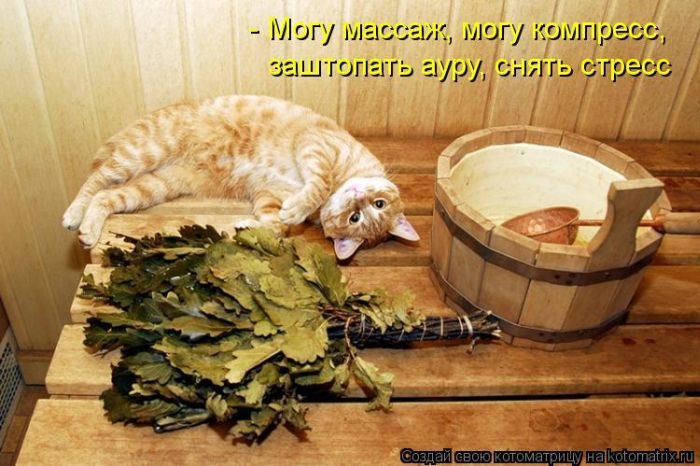 Смешные Котоматрицы