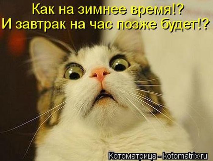 Смешные Котоматрицы