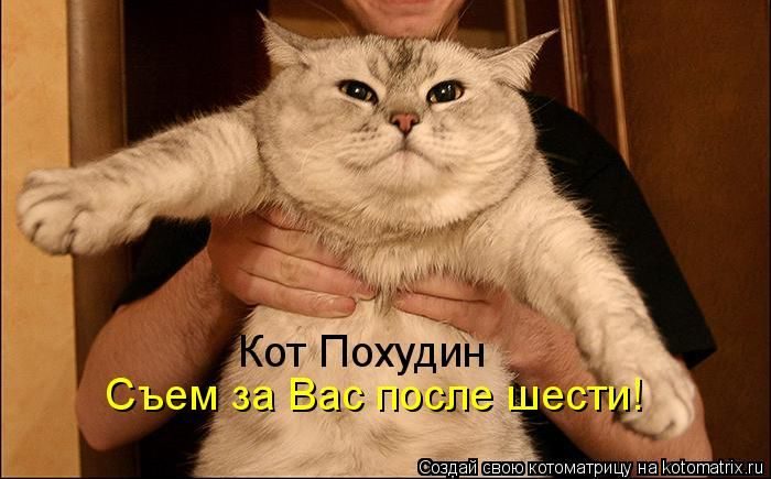 Весёлые Котоматрицы