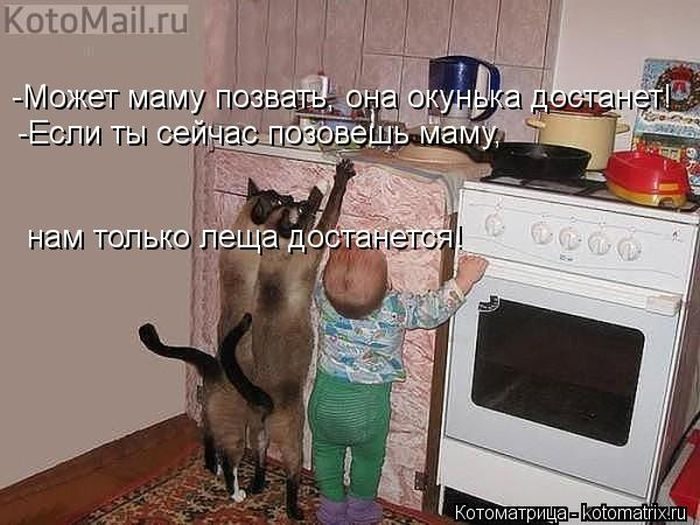 Котоматрицы