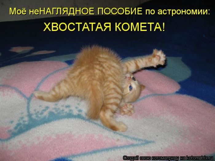 Забавные Котоматрицы