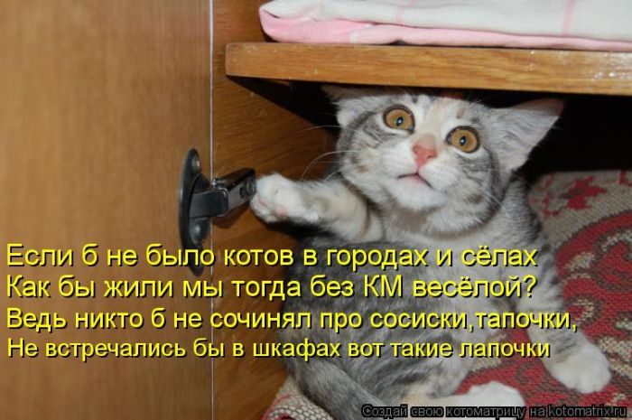 Котоматрица. Ржака!