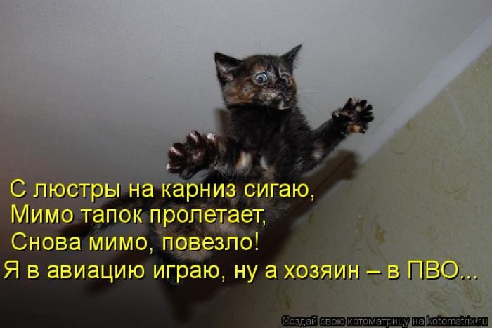 Забавные Котоматрицы