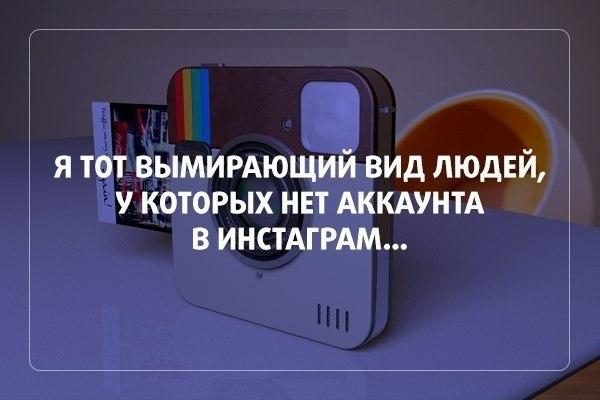 Цитаты дня. Великолепно!