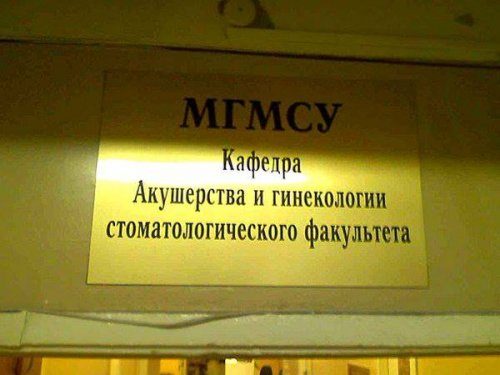 Смешные тексты