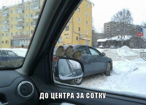 Юмор от автолюбителей. Смейтесь на здоровье!