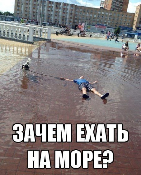 Лето море юмор